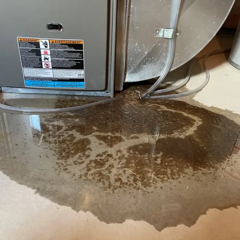 Appliance Leak Cleanup in Bacliff, TX