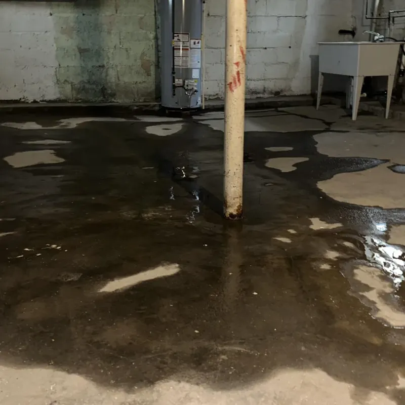 Emergency Water Extraction And Removal in Bacliff, TX